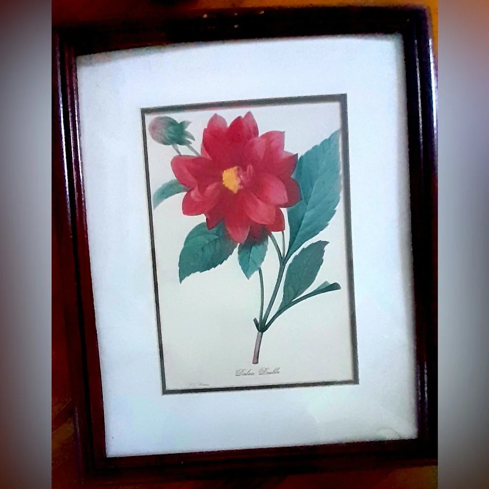 Red Botanical Framed Wall Art Farmhouse Floral Decor vintage print Dalia